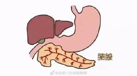 什么是急性胰腺炎？如何预防？ (图1)