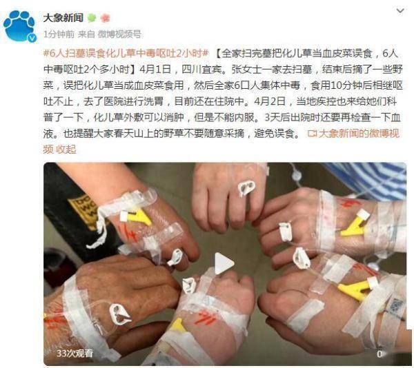 全家扫完墓把化儿草当血皮菜误食，6人中毒呕吐2个多小时 (图1)