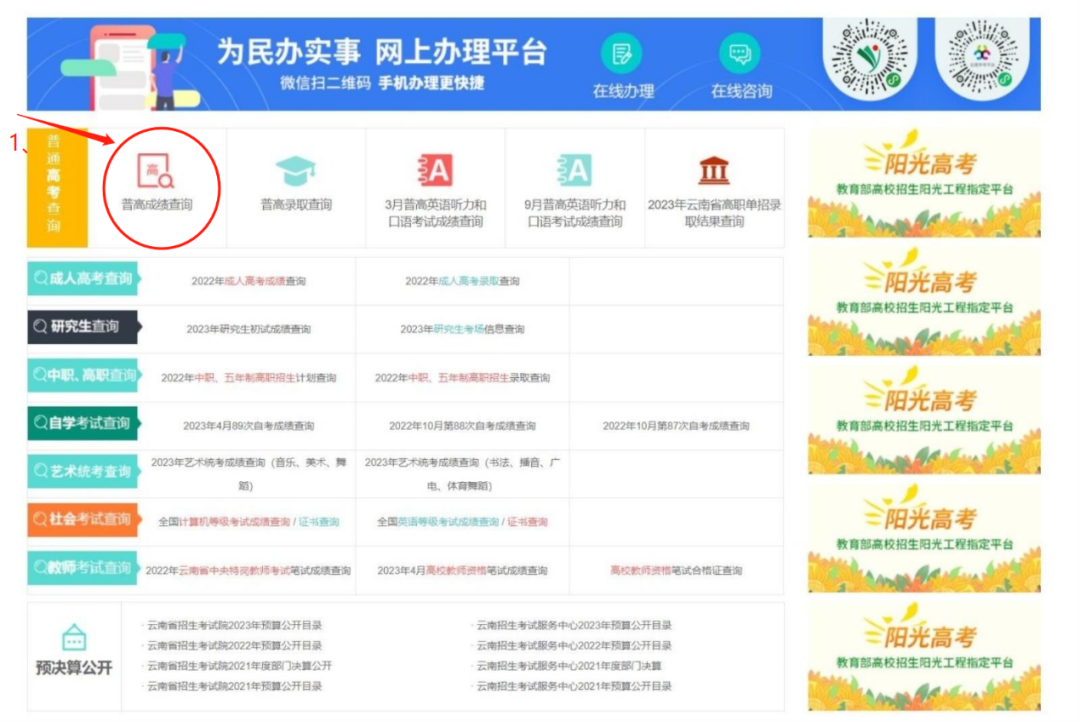 2023年云南高考成绩查询入口www.ynzs.cn/gk-2023-cf-00/web.html(图2)