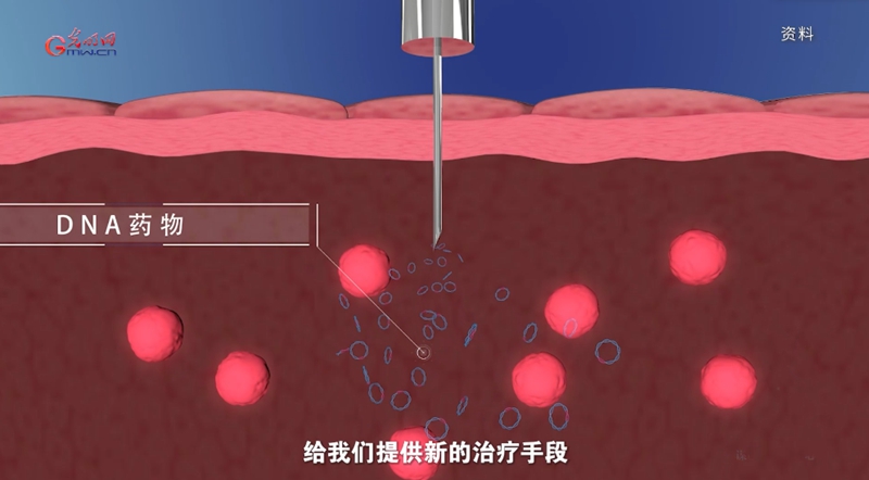 宫颈癌消灭战：如何减少“梅艳芳式悲剧”？(图7)