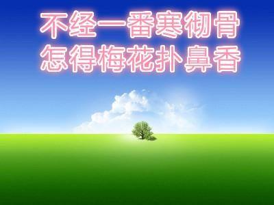 不经一番寒彻骨，怎得梅花扑鼻香？-古诗词鉴赏(图4)