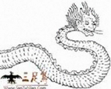 烛阴 个人简历介绍(图1)